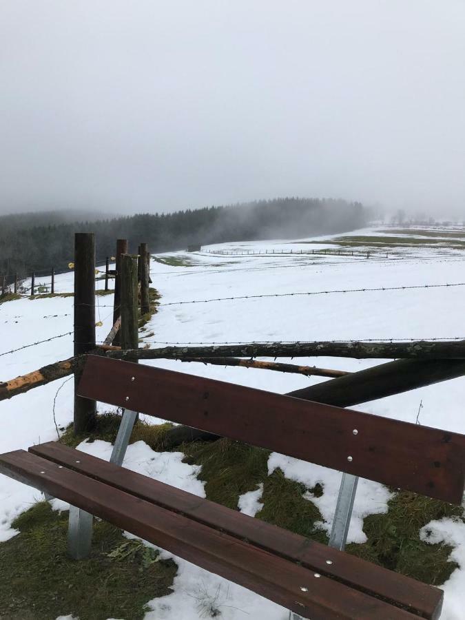 Villa Ferienhaus Schneeweiß Winterberg Exterior foto