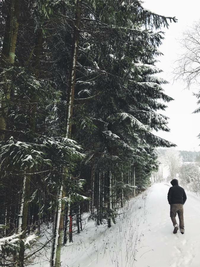 Ferienhaus Schneeweiß Winterberg Exterior foto